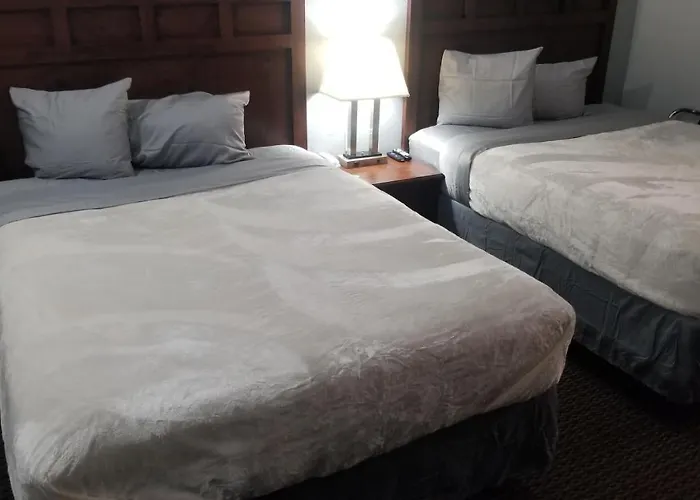 Hotel 2 Queen Beds Hotel Room 135 Booking